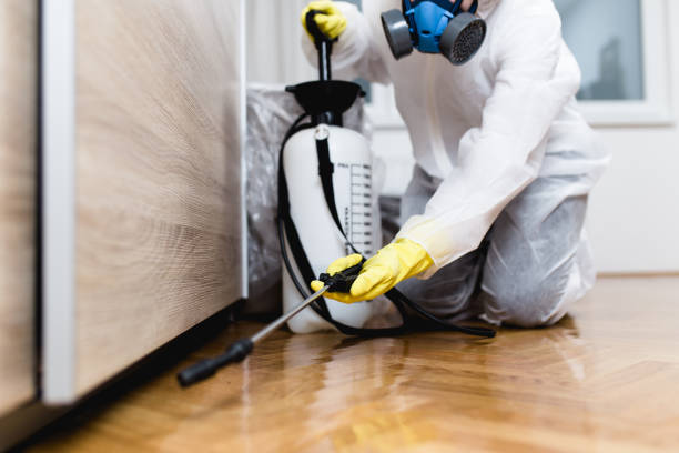 Best Termite Control Services  in Bethesda, OH