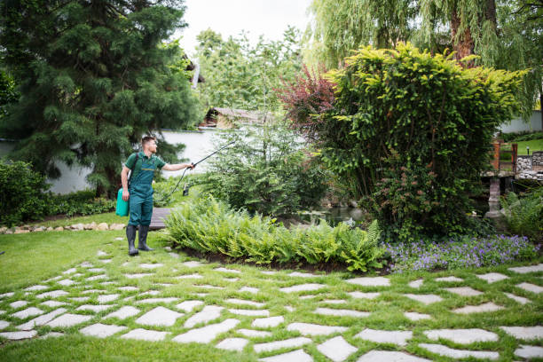 Best Pest Inspection Near Me  in Bethesda, OH