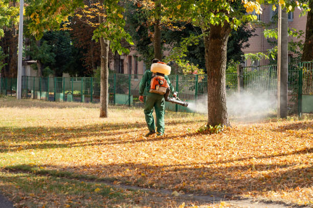Best Rat Extermination Near Me  in Bethesda, OH