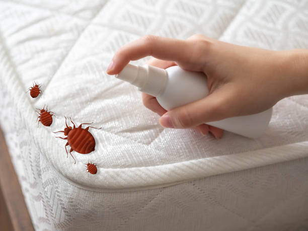 Best Ant Control Services  in Bethesda, OH