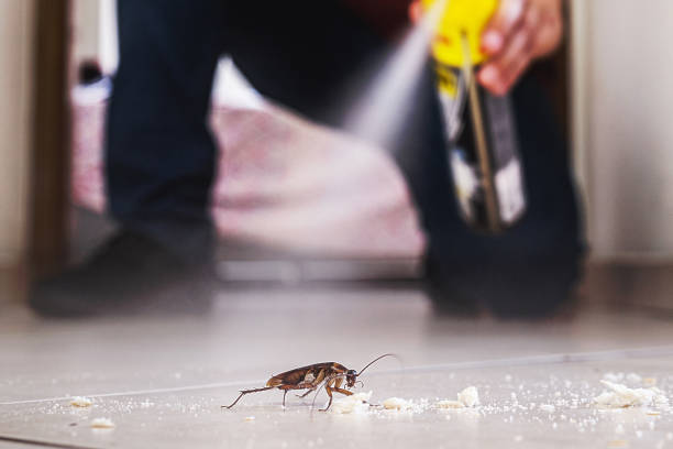 Best Pest Control Near Me in Bethesda, OH