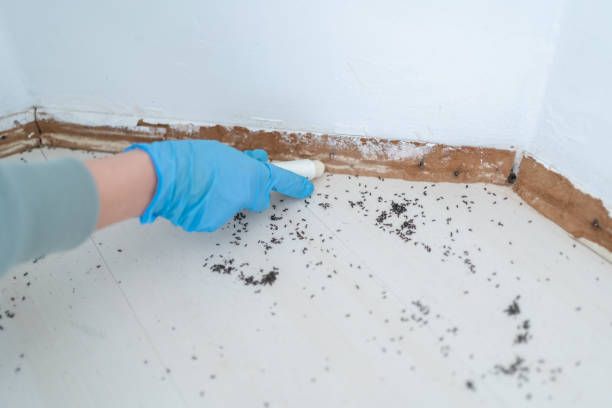 Best Mosquito Control Services  in Bethesda, OH