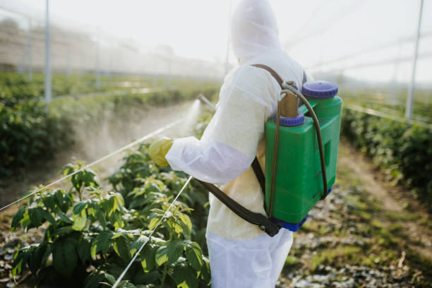 Best Wasp Removal Services  in Bethesda, OH